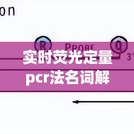 實時熒光定量pcr法名詞解釋，實時熒光定量pcr的定義 
