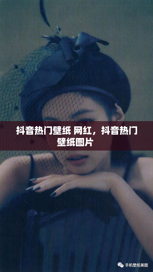 抖音熱門壁紙 網(wǎng)紅，抖音熱門壁紙圖片 