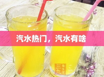 汽水熱門，汽水有啥 