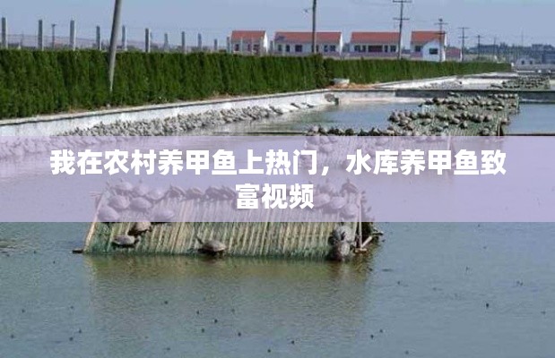 萍水相逢 第2頁(yè)
