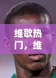 維歌熱門，維韋的歌 