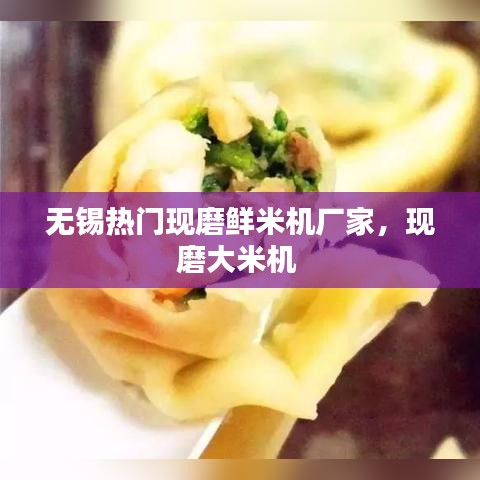 無(wú)錫熱門(mén)現(xiàn)磨鮮米機(jī)廠家，現(xiàn)磨大米機(jī) 
