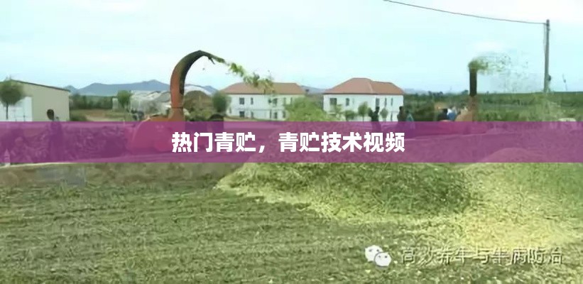 熱門青貯，青貯技術(shù)視頻 