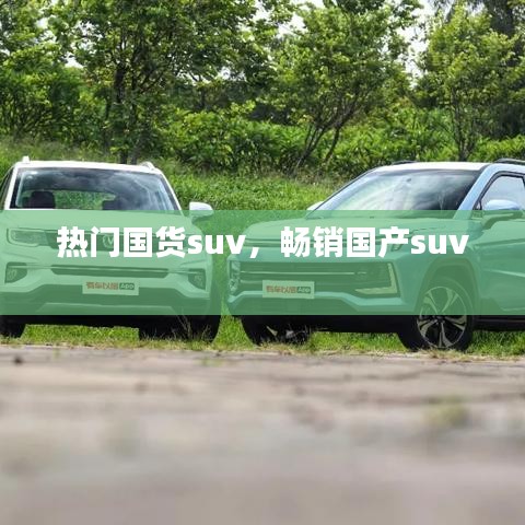 熱門(mén)國(guó)貨suv，暢銷(xiāo)國(guó)產(chǎn)suv 