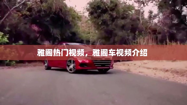 雅閣熱門視頻，雅閣車視頻介紹 