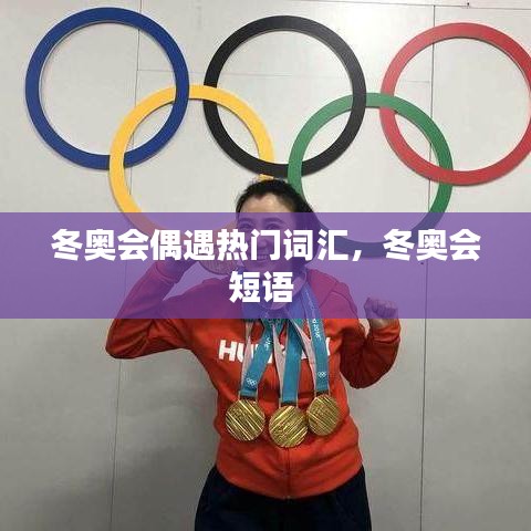 冬奧會(huì)偶遇熱門詞匯，冬奧會(huì)短語 