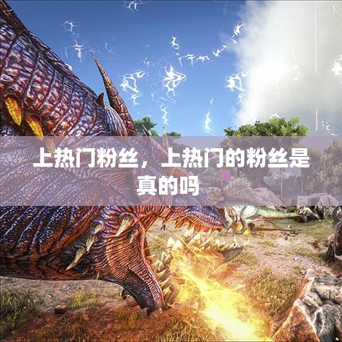 上熱門粉絲，上熱門的粉絲是真的嗎 