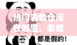 熱門表情倉庫在哪里，表情包投放平臺(tái)有哪些 