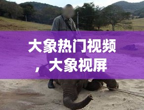 大象熱門視頻，大象視屏 