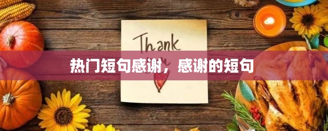 熱門短句感謝，感謝的短句 