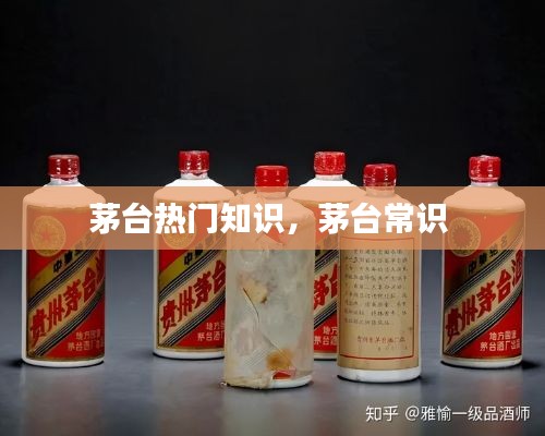茅臺熱門知識，茅臺常識 