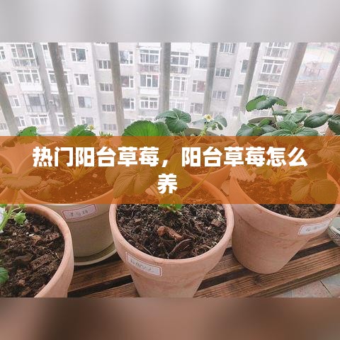 懸駝就石 第2頁