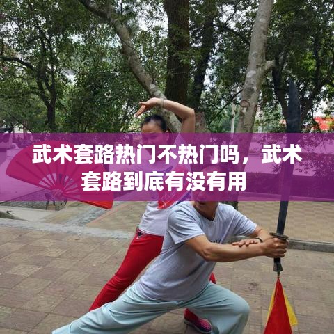 武術(shù)套路熱門不熱門嗎，武術(shù)套路到底有沒有用 