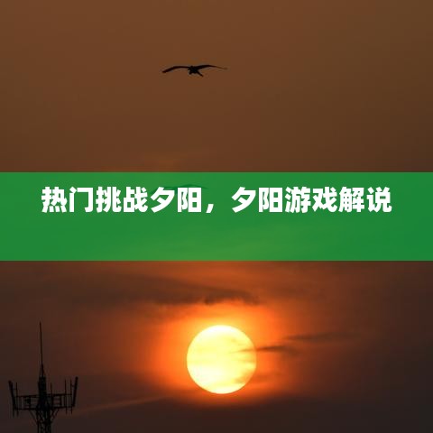 熱門挑戰(zhàn)夕陽，夕陽游戲解說 