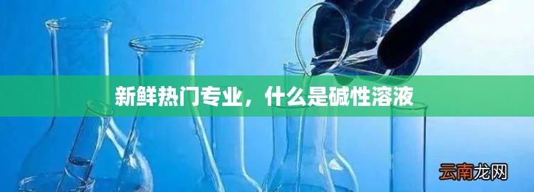 新鮮熱門專業(yè)，什么是堿性溶液 