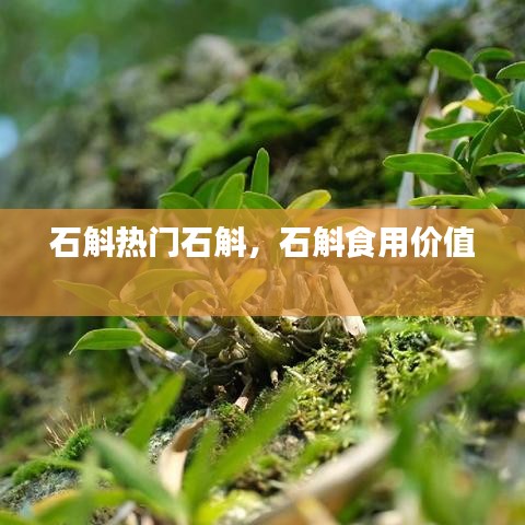 石斛熱門石斛，石斛食用價(jià)值 