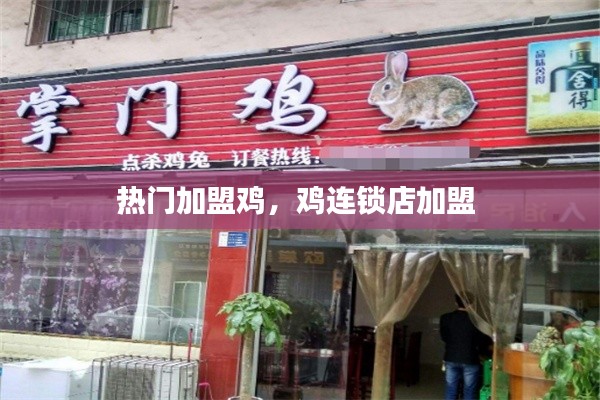 熱門加盟雞，雞連鎖店加盟 