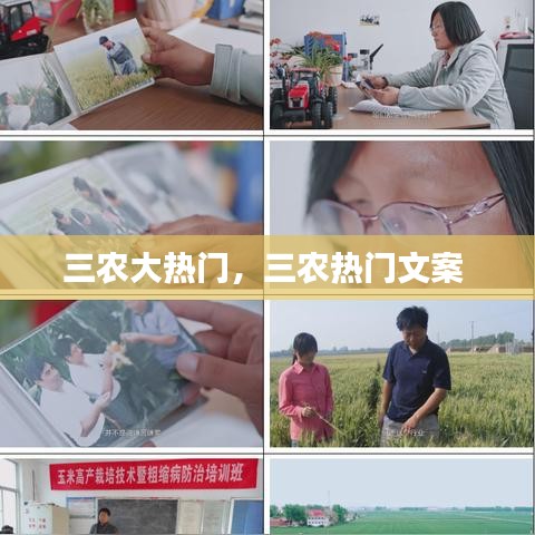 三農(nóng)大熱門，三農(nóng)熱門文案 