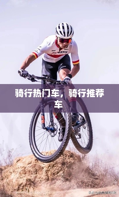 騎行熱門車，騎行推薦車 