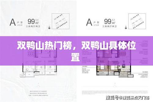雙鴨山熱門榜，雙鴨山具體位置 