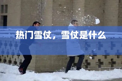 熱門雪仗，雪仗是什么 
