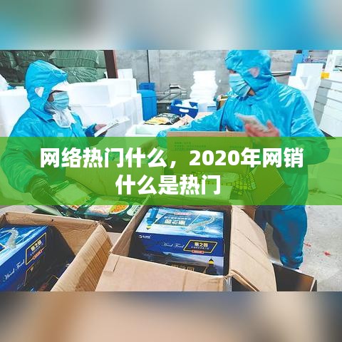 網(wǎng)絡(luò)熱門什么，2020年網(wǎng)銷什么是熱門 