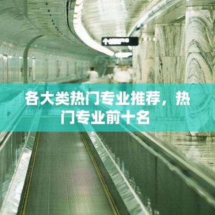 各大類熱門專業(yè)推薦，熱門專業(yè)前十名 
