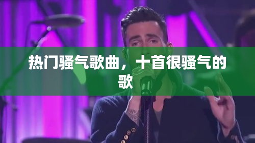 熱門騷氣歌曲，十首很騷氣的歌 