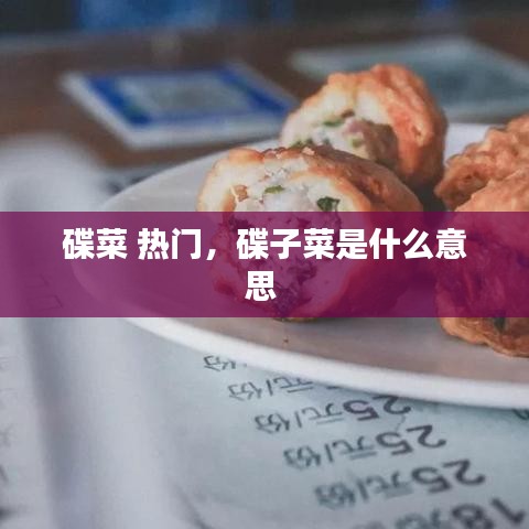 碟菜 熱門，碟子菜是什么意思 