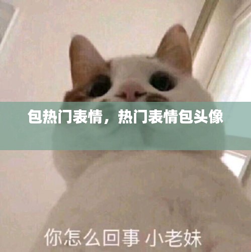 包熱門表情，熱門表情包頭像 