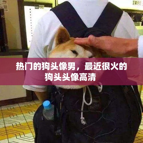 熱門的狗頭像男，最近很火的狗頭頭像高清 