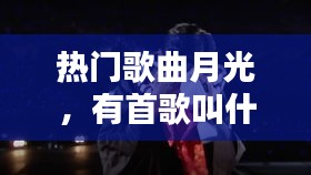 熱門歌曲月光，有首歌叫什么月光 