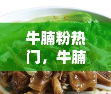 牛腩粉熱門(mén)，牛腩粉的介紹 