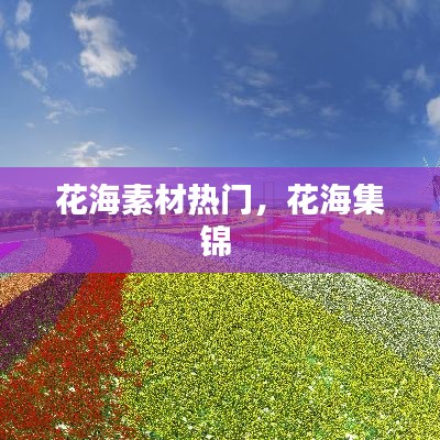 花海素材熱門，花海集錦 