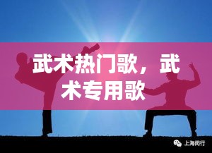 武術熱門歌，武術專用歌 