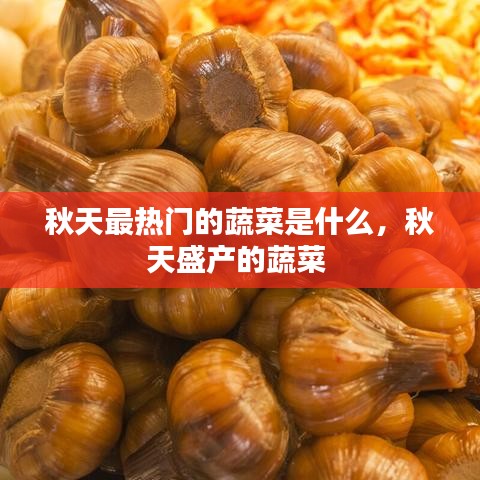 秋天最熱門的蔬菜是什么，秋天盛產(chǎn)的蔬菜 