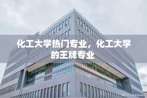 化工大學(xué)熱門專業(yè)，化工大學(xué)的王牌專業(yè) 