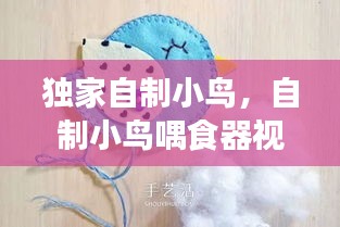 獨(dú)家自制小鳥，自制小鳥喁食器視頻 