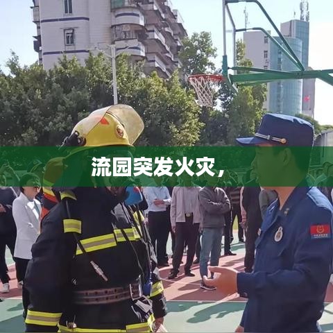 戀戀不舍 第2頁