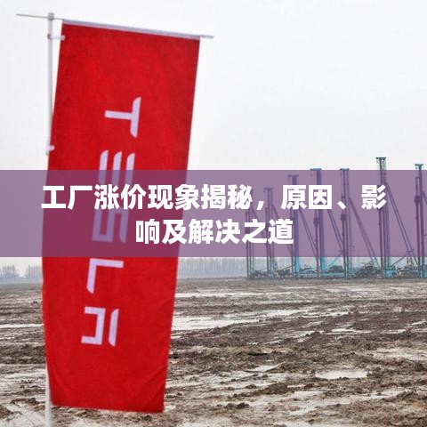 工廠漲價(jià)現(xiàn)象揭秘，原因、影響及解決之道