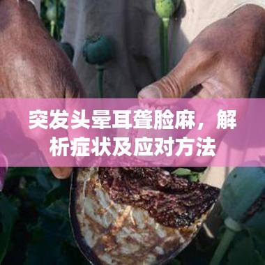 突發(fā)頭暈耳聾臉麻，解析癥狀及應(yīng)對(duì)方法