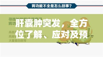 肝囊腫突發(fā)，全方位了解、應(yīng)對(duì)及預(yù)防方法