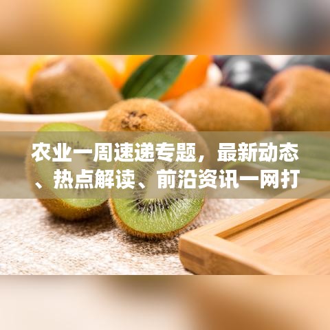 盡心盡力 第2頁(yè)
