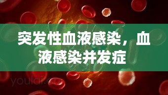 突發(fā)性血液感染，血液感染并發(fā)癥 