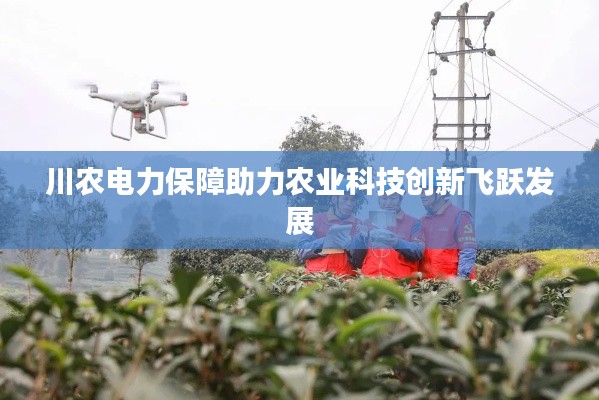 川農(nóng)電力保障助力農(nóng)業(yè)科技創(chuàng)新飛躍發(fā)展