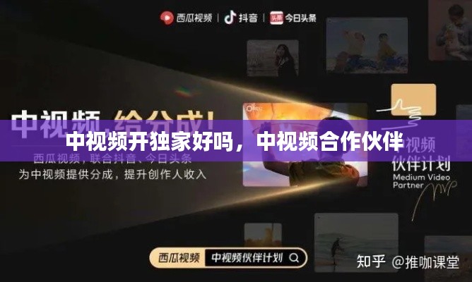中視頻開獨家好嗎，中視頻合作伙伴 