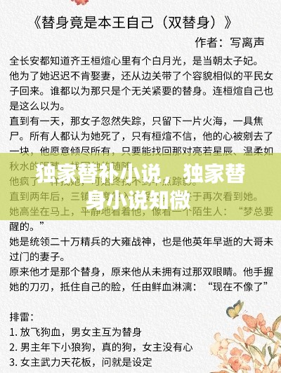 獨(dú)家替補(bǔ)小說(shuō)，獨(dú)家替身小說(shuō)知微 