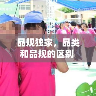 品規(guī)獨家，品類和品規(guī)的區(qū)別 