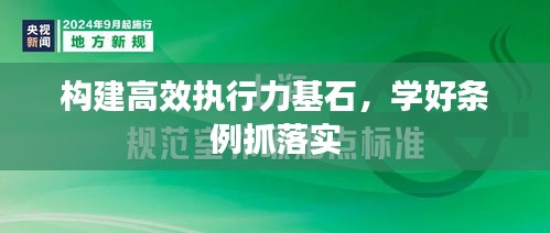構(gòu)建高效執(zhí)行力基石，學(xué)好條例抓落實(shí)