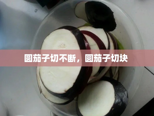 圓茄子切不斷，圓茄子切塊 